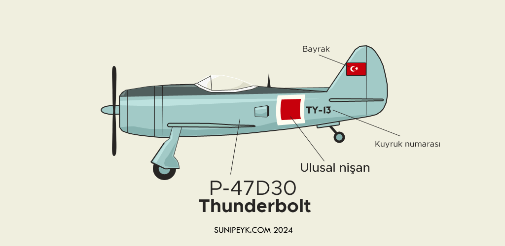 p-47 thunderbolt uçağı üzerinde eski ulusal işaret/ madalyon